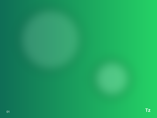 Domain + Email + SSL Setup – Image 1