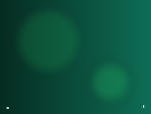 Figma to Shopify (Single Page) – Image 1