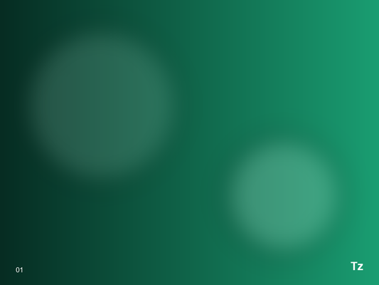 Any Platform to Shopify – Image 1