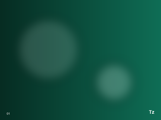 Custom Checkout Extension – Image 1